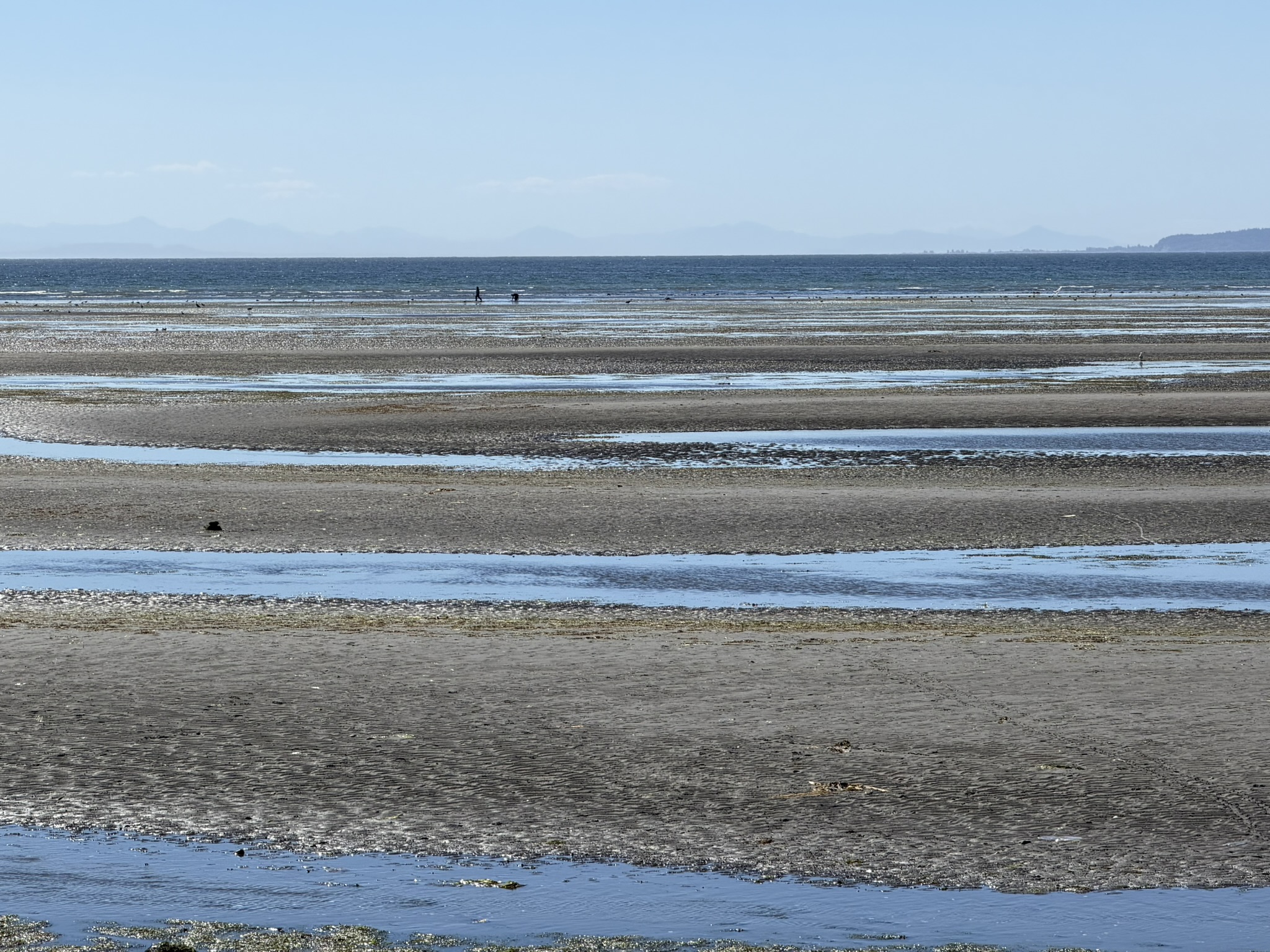 Birch Bay Carts